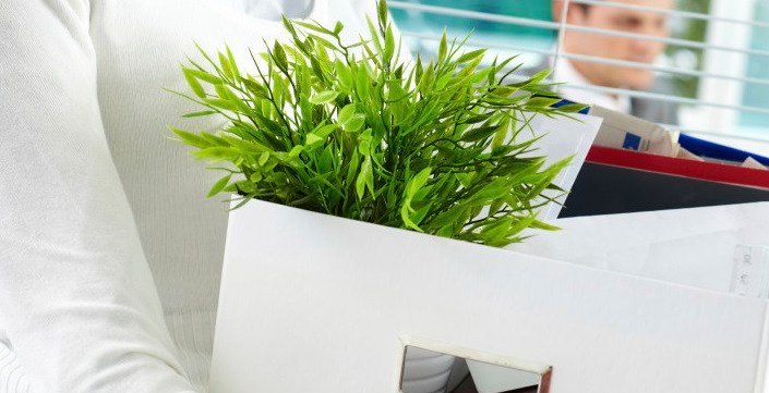 source: http://www.huffingtonpost.com/joanne-tombrakos/what-to-do-if-you-get-a-pink-slip_b_3625487.html